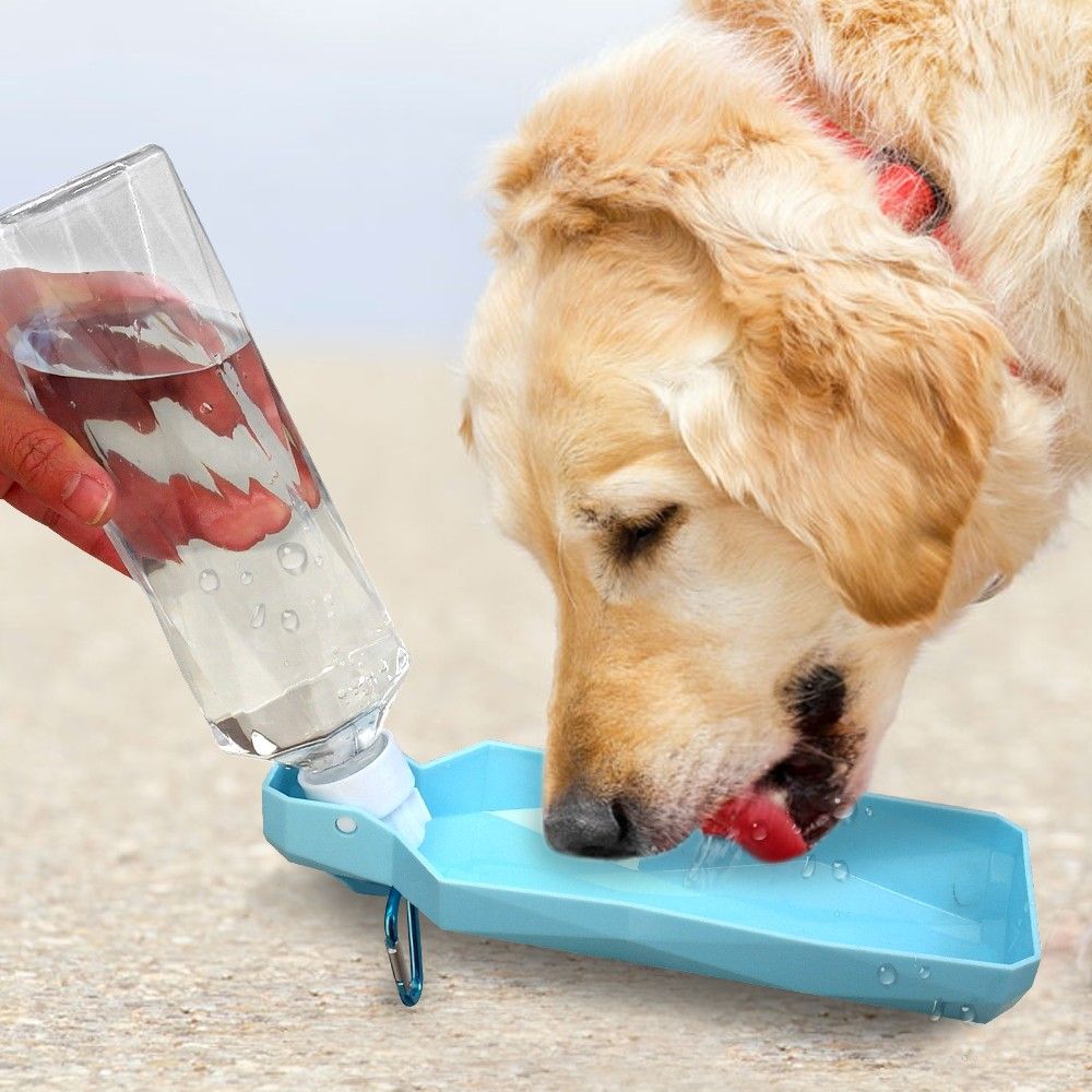 PET DRINKING & FEEDING