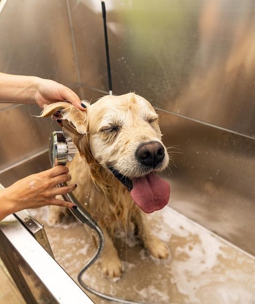 PET GROOMING & CARE